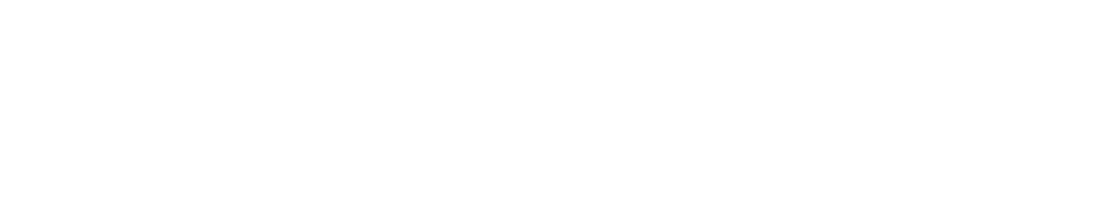 猎豹加速器官方网站Logo - 安全快速网络加速工具